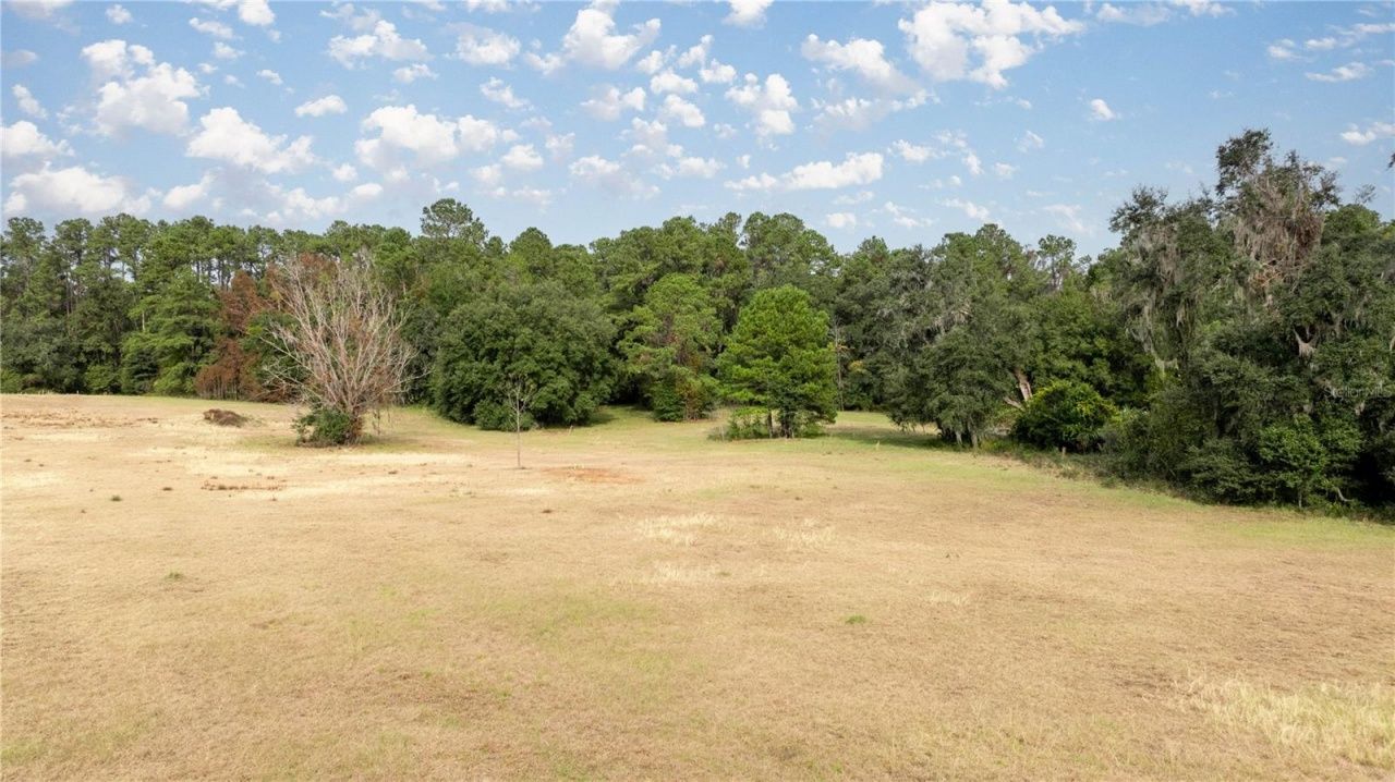 4068 SW 62nd Avenue, Gainesville, FL 32608 Photo