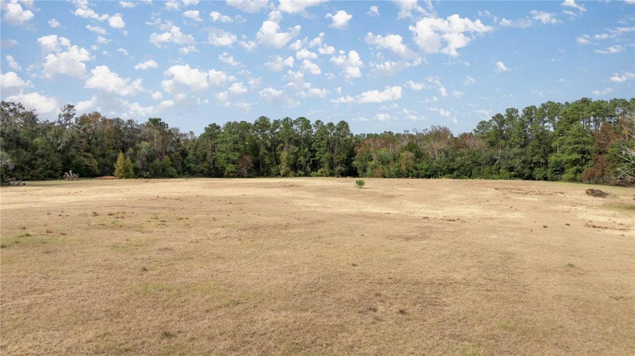 4068 SW 62nd Avenue, Gainesville, FL 32608 Photo