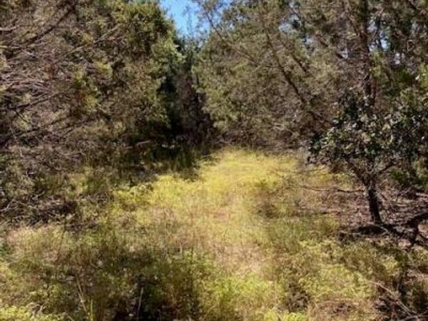 55 York Creek RD, Driftwood, TX 78619