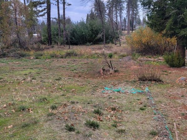 1223 Elliott Rd, Paradise, CA 95969