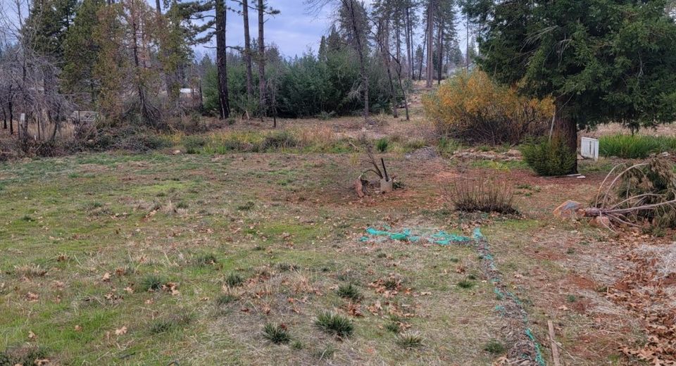 1223 Elliott Rd, Paradise, CA 95969 Photo