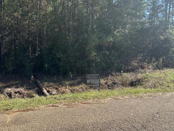 Stillwood Rd, DeRidder, LA 70634