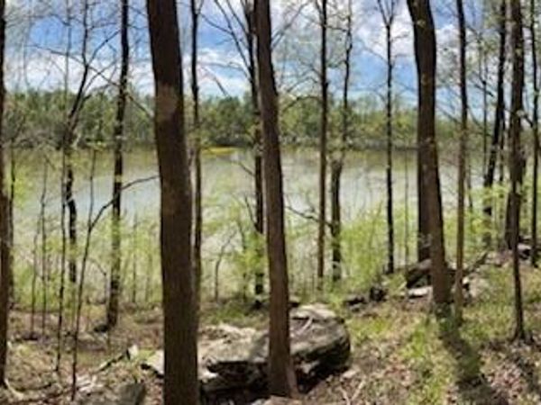 0A Patricia CIrcle, Indian Mound, TN 37079