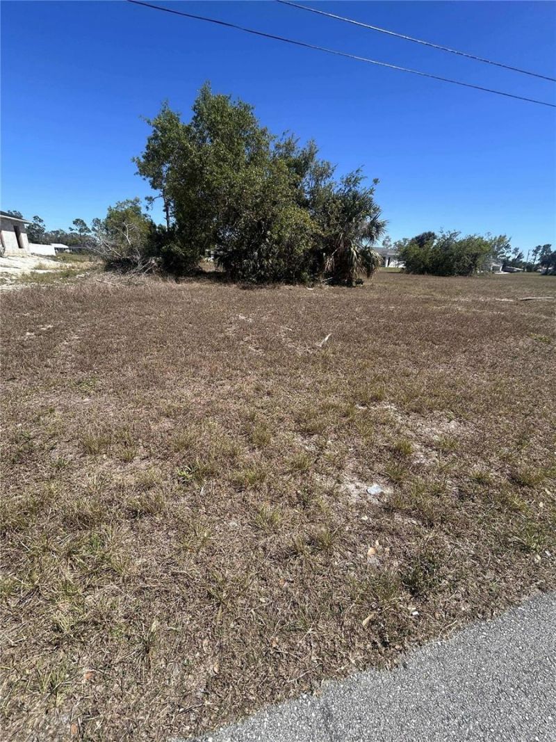 4009 NE 22nd Place, Lot #88, Cape Coral, FL 33909 Photo