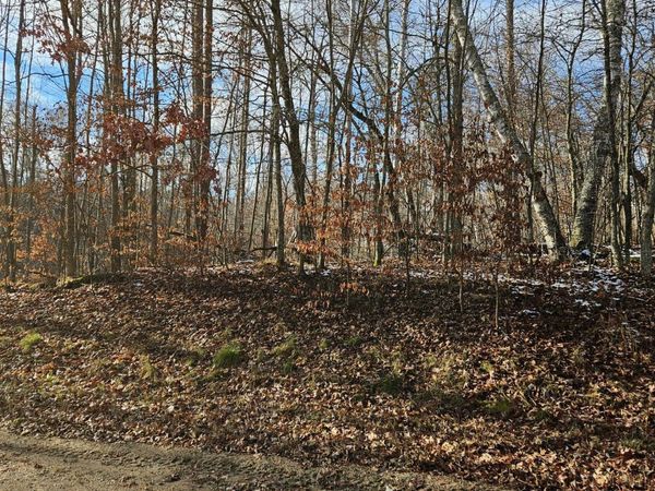 Lot 1 Raccoon Lane, Breezy Point, MN 56472