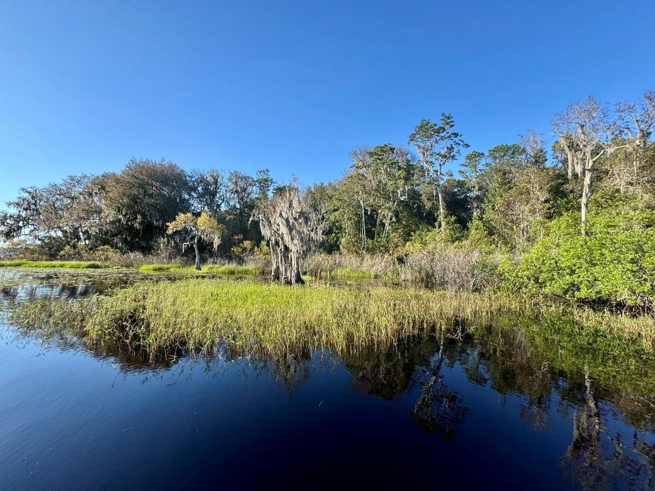 45202 Nfs Rd 572-b, Altoona, FL 32702 Photo