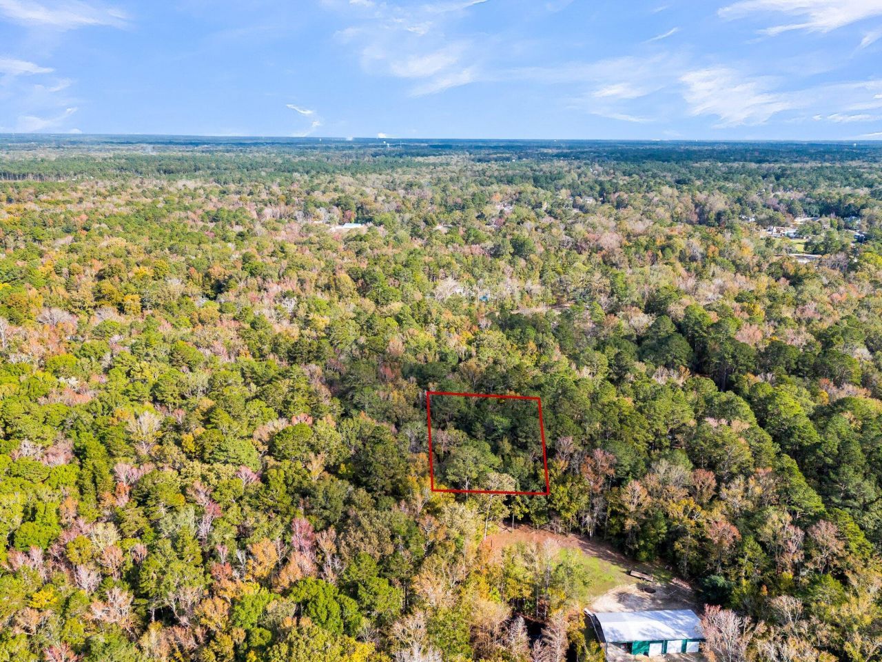 107 Weir Street Photo 11