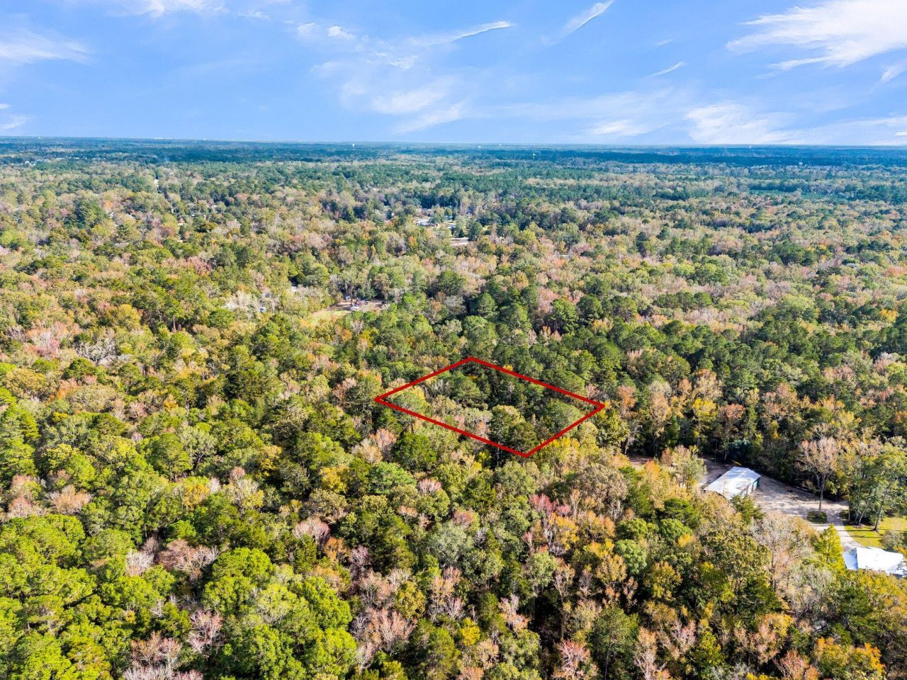 107 Weir Street Photo 14