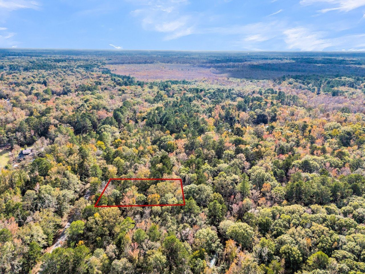 107 Weir Street Photo 15