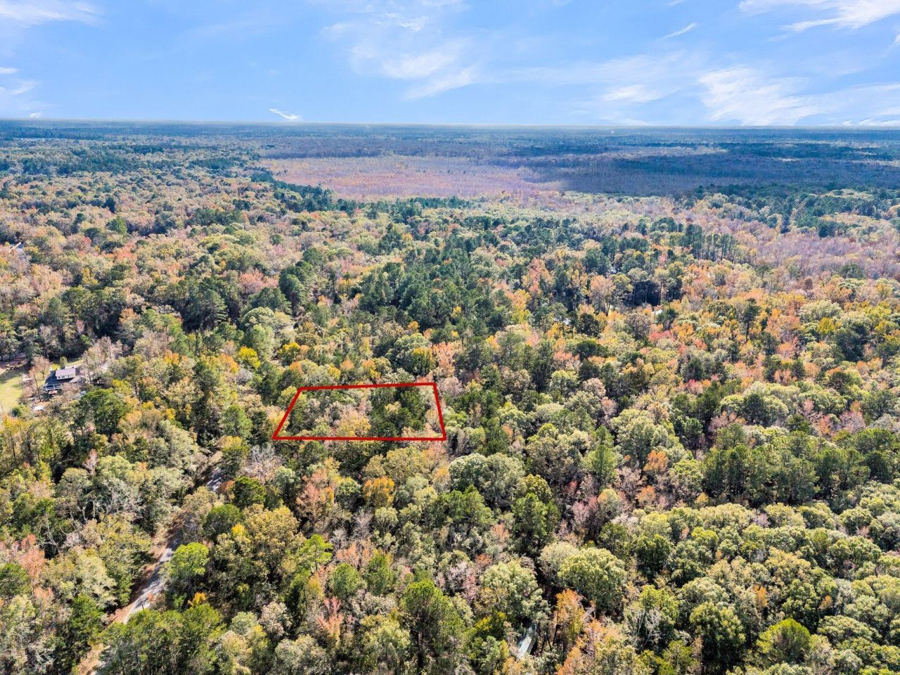 107 Weir Street Photo 16