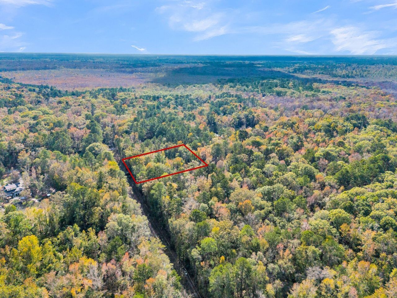 107 Weir Street Photo 18