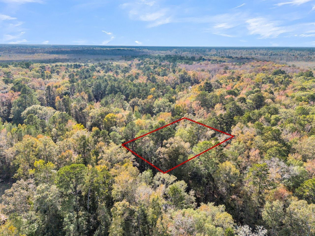 107 Weir Street Photo 23