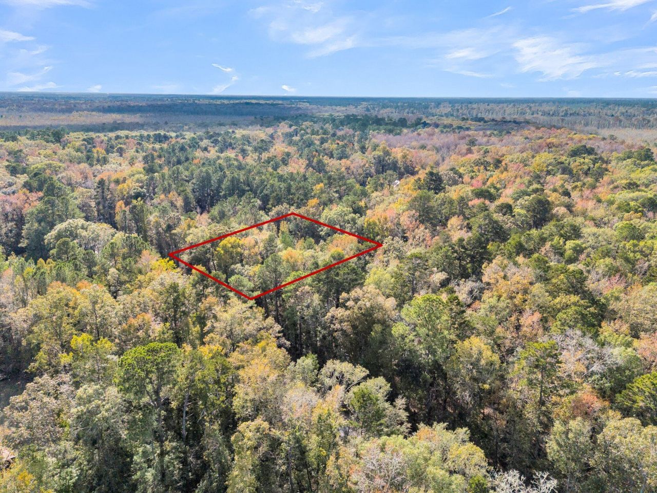 107 Weir Street Photo 24