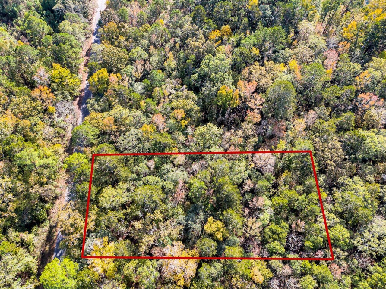 107 Weir Street Photo 25