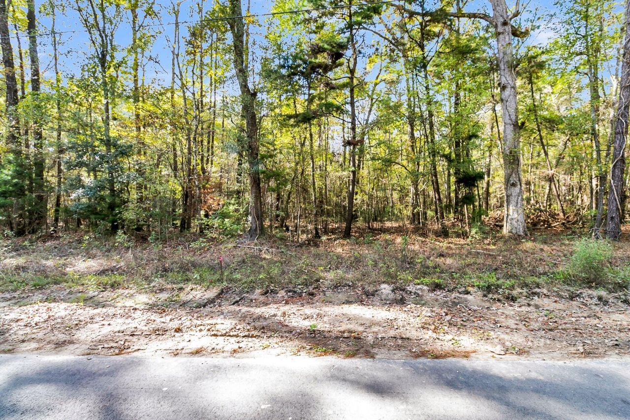 107 Weir Street Photo 27