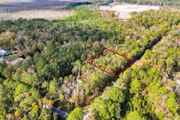 107 Weir Street photo 4