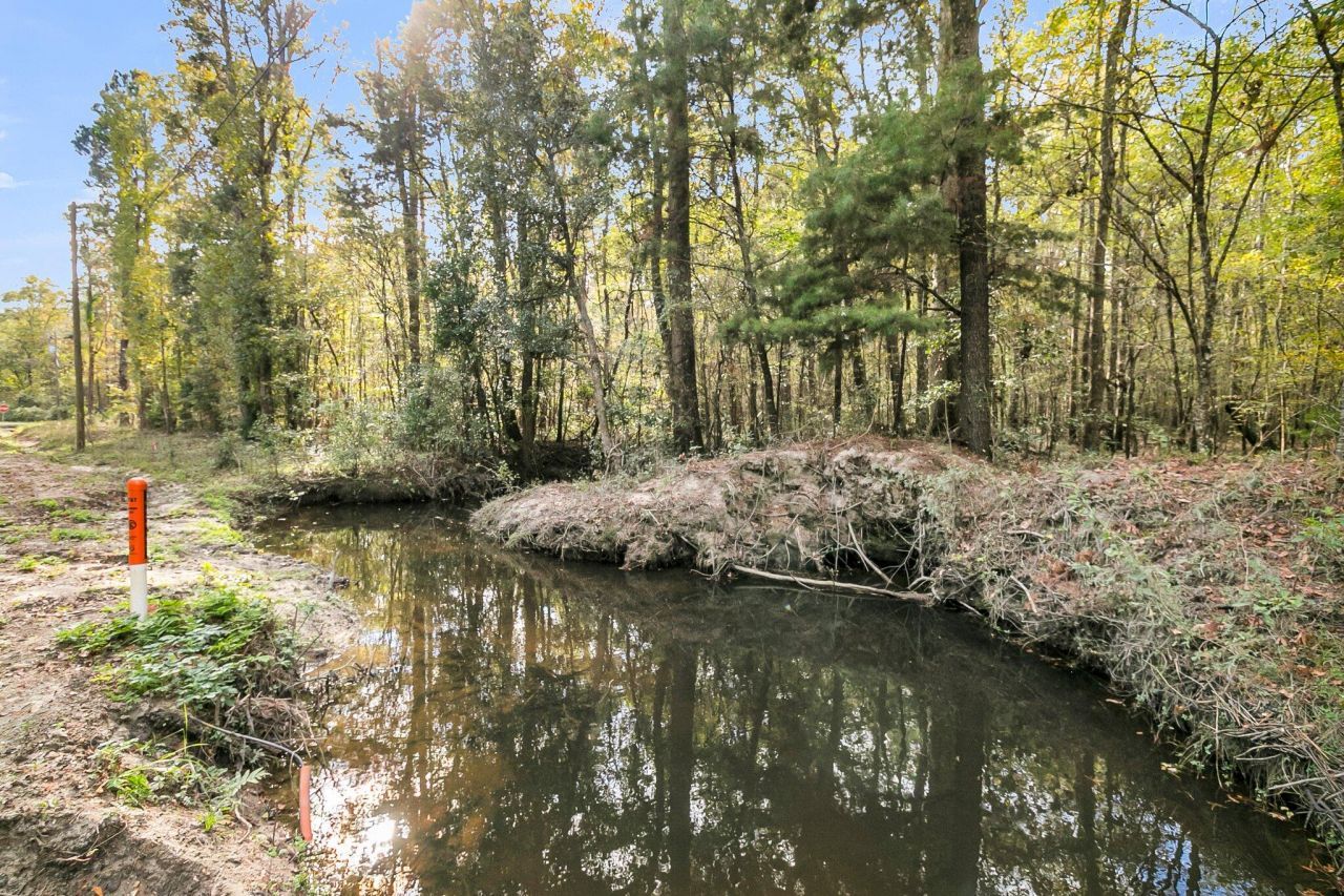 107 Weir Street Photo 31