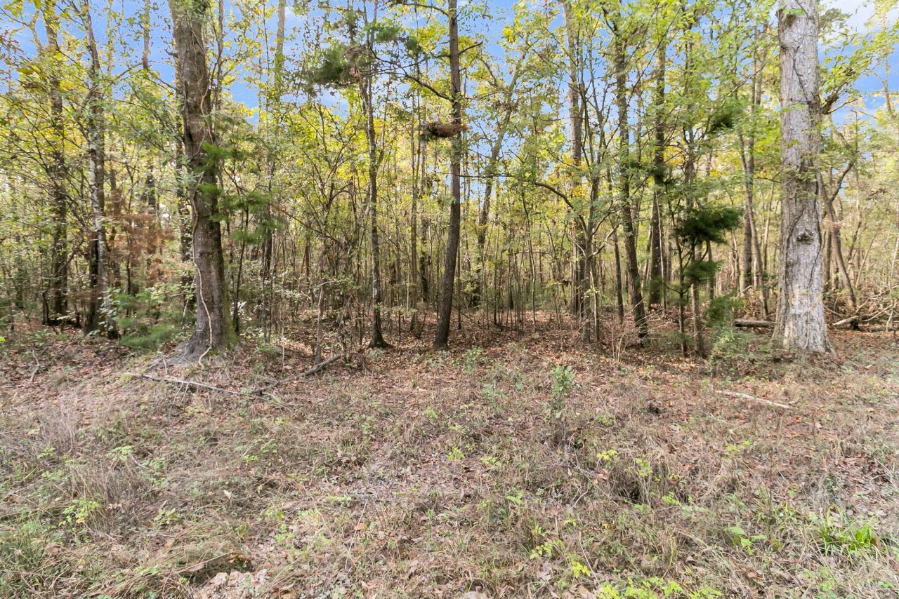 107 Weir Street Photo 32