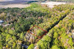 107 Weir Street photo 4