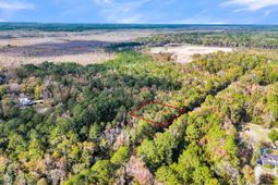 107 Weir Street photo 4