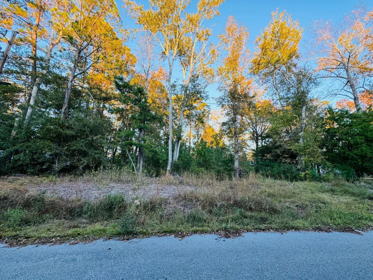 211 Susanne Street Photo 1