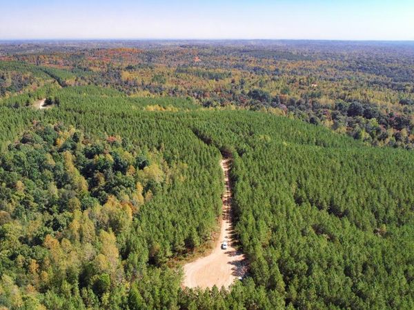 0 Hurricane Road SE, Stewart, TN 37175