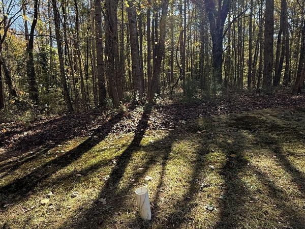 LOT 15 OF Fairview Springs Drive E, Ellenwood, GA 30294