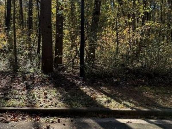 LOT 15 Fairview Springs Drive, Ellenwood, GA 30284