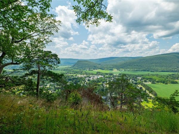 L16 Mt Path, Middleburgh, NY 12122