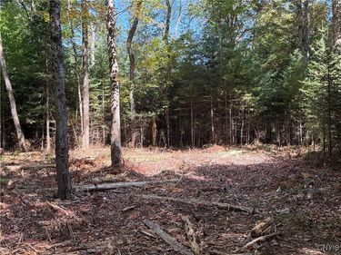Lot #1 Beaver Trail, Alder Creek, NY 13301