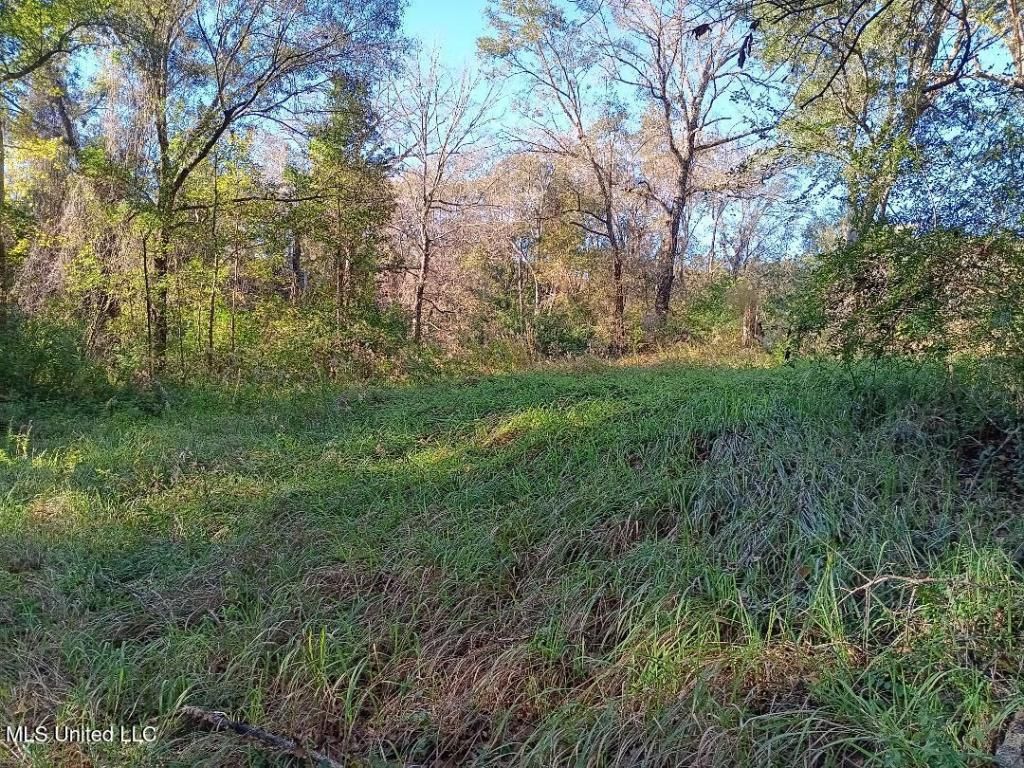 15208 Old River Road, Vancleave, MS 39565 Main Photo