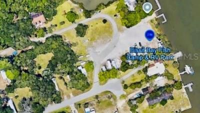 251 Bissit Bay Road, Oak Hill, FL 32759 Photo