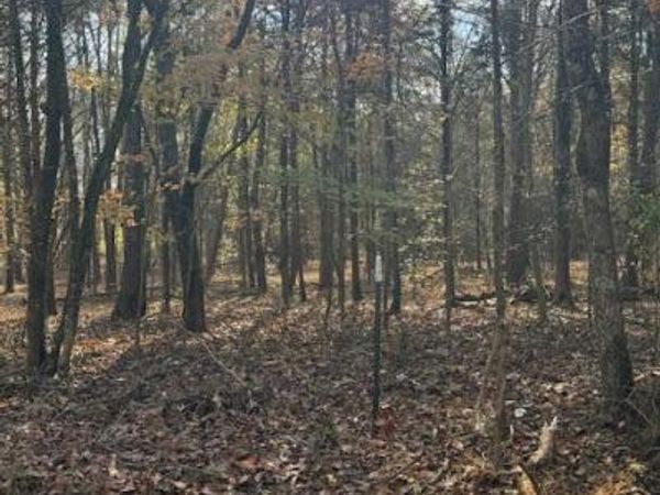 Lot 1031 Meadow Court, Baneberry, TN 37890