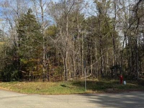 Lot 1023 Cove Lane, Baneberry, TN 37890