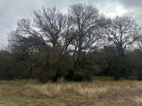 44080 Mountain Sage Drive, Whitney, TX 76692