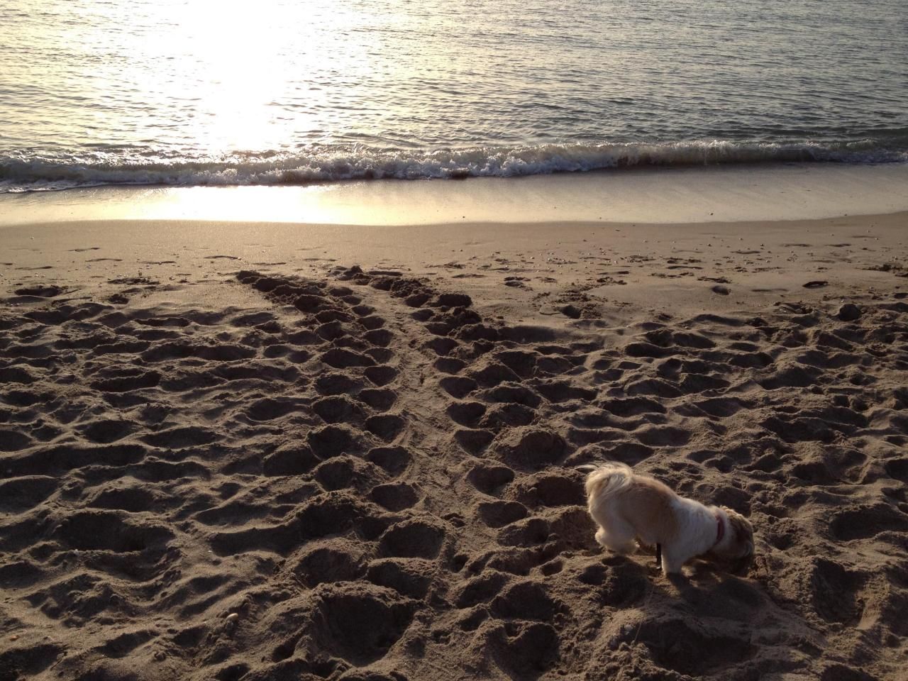 2001 Marina Isle 203 Way, Unit 203, Jupiter, FL 33477 Photo