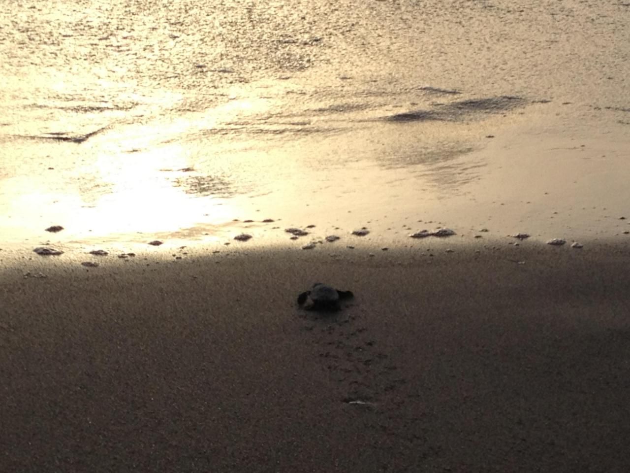 2001 Marina Isle 203 Way, Unit 203, Jupiter, FL 33477 Photo