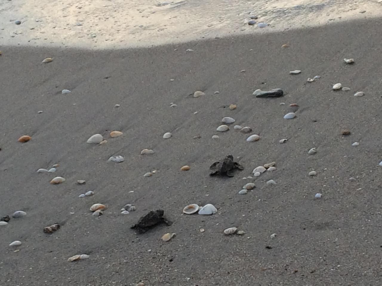 2001 Marina Isle 203 Way, Unit 203, Jupiter, FL 33477 Photo