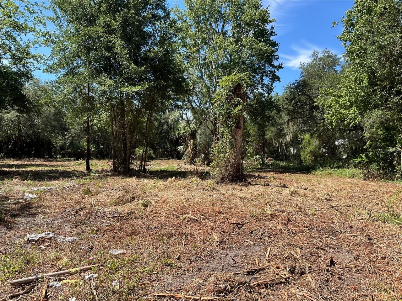 2330 E University Avenue, Gainesville, FL 32641 Photo