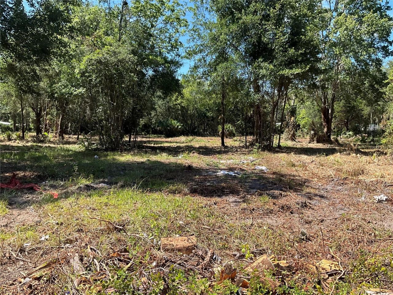 2330 E University Avenue, Gainesville, FL 32641 Photo