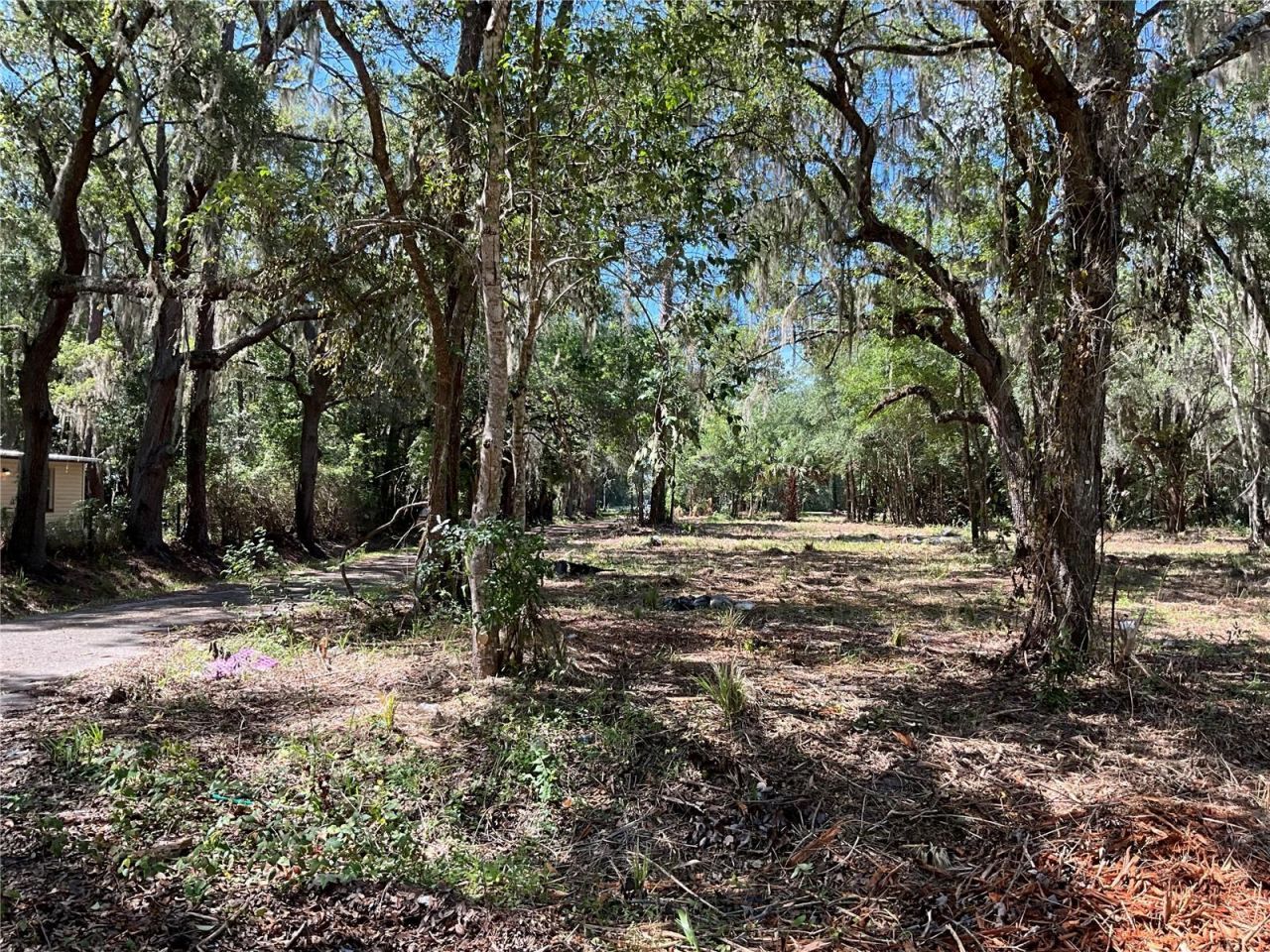 2330 E University Avenue, Gainesville, FL 32641 Photo