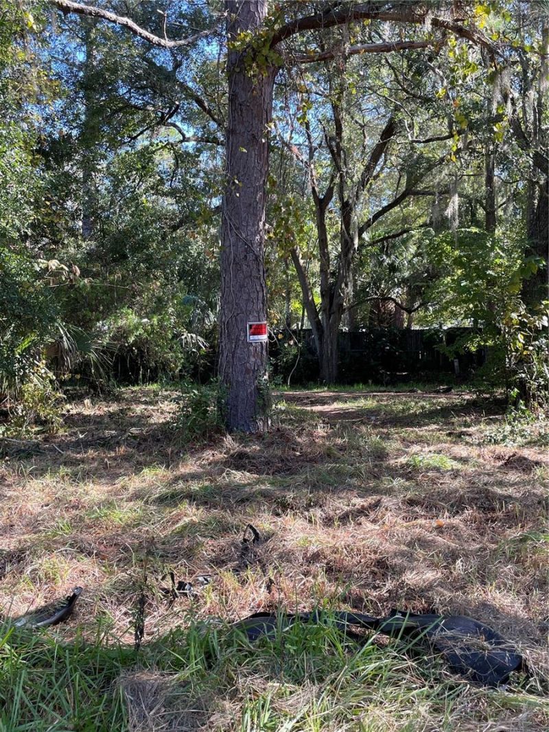 2330 E University Avenue, Gainesville, FL 32641 Photo