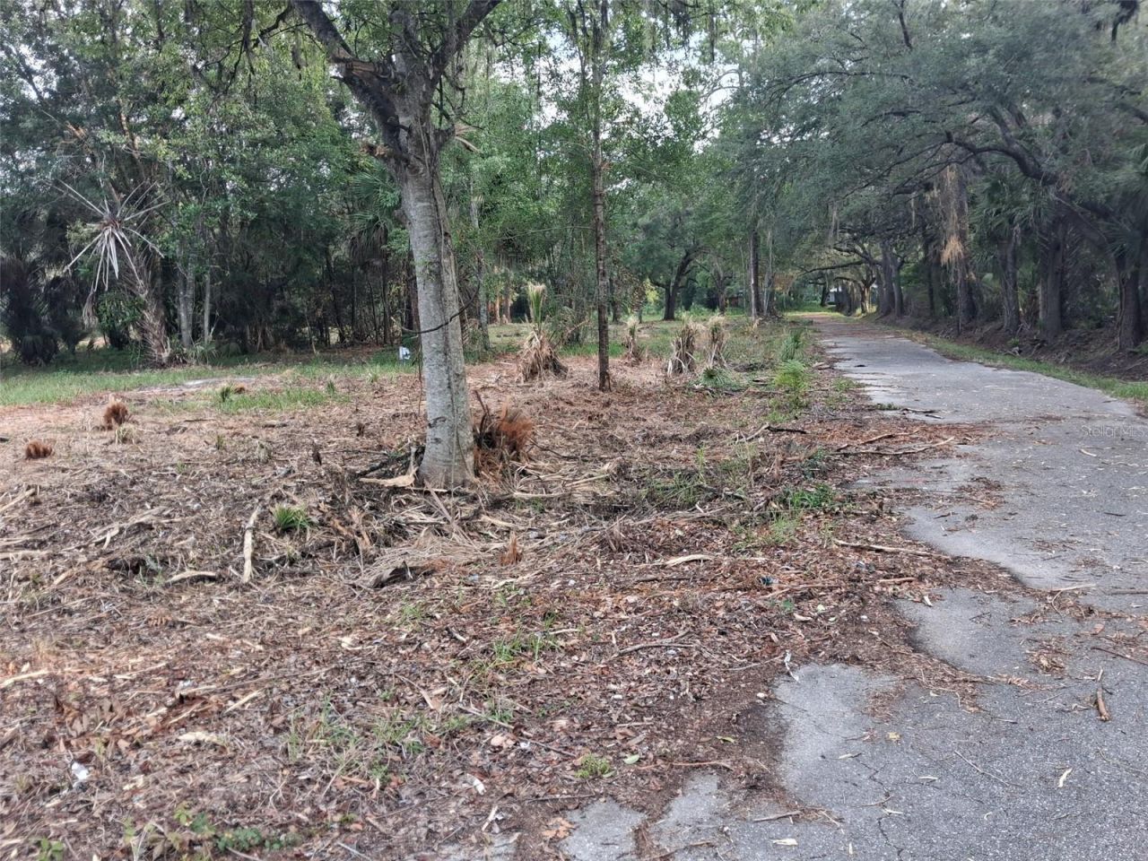 2330 E University Avenue, Gainesville, FL 32641 Photo
