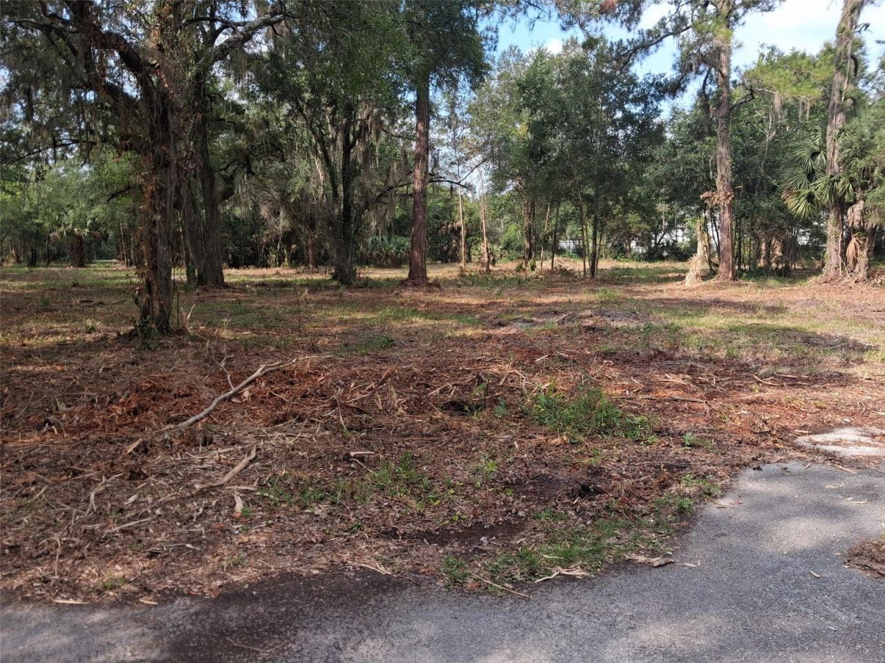 2330 E University Avenue, Gainesville, FL 32641 Photo