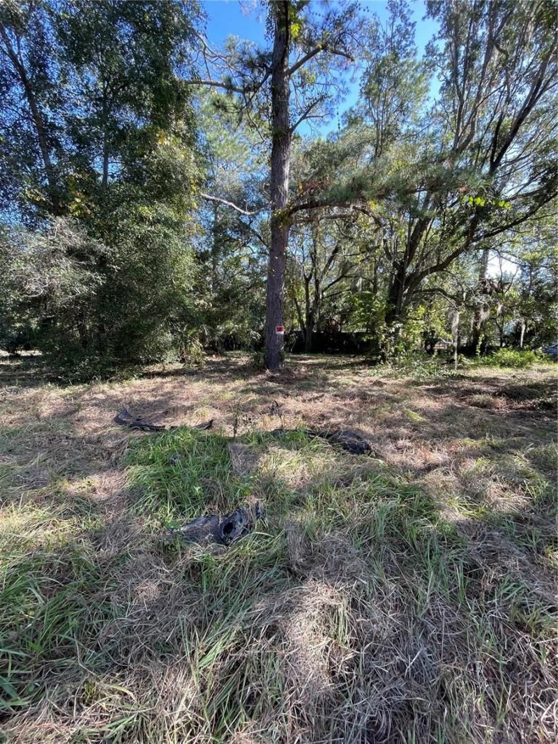 2330 E University Avenue, Gainesville, FL 32641 Photo