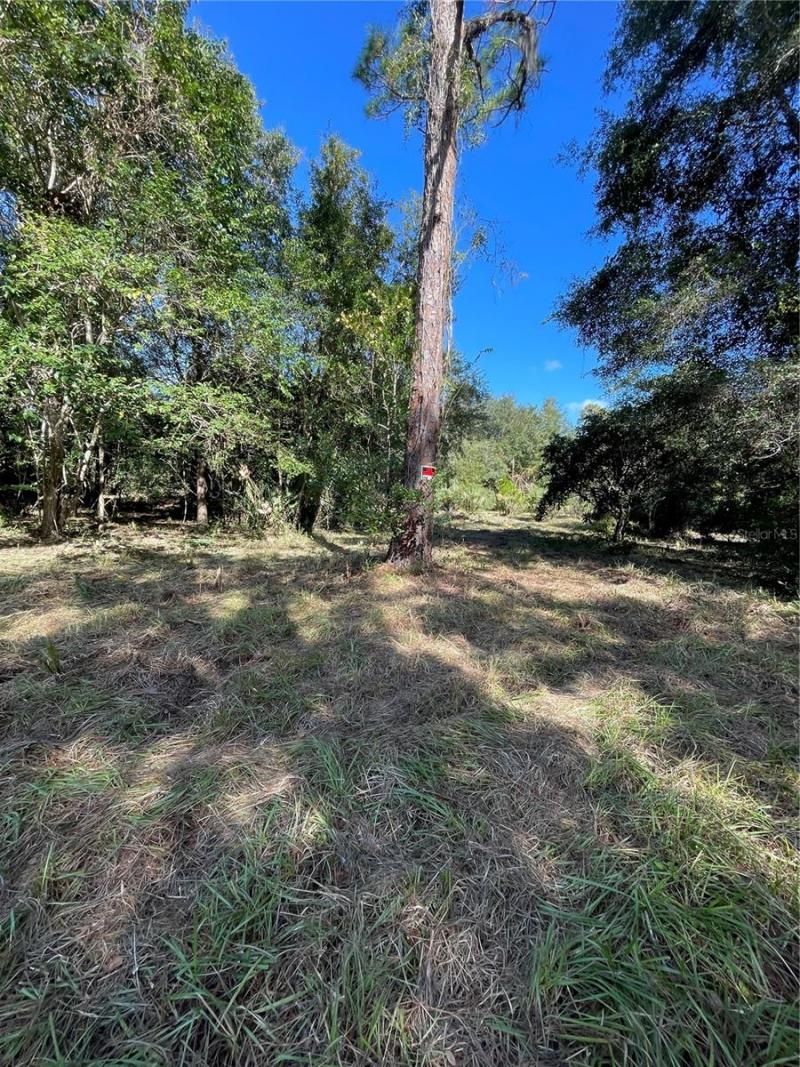 2330 E University Avenue, Gainesville, FL 32641 Photo