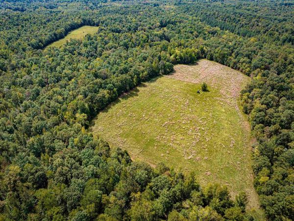 2642 Brodies Landing Rd, Parsons, TN 38363