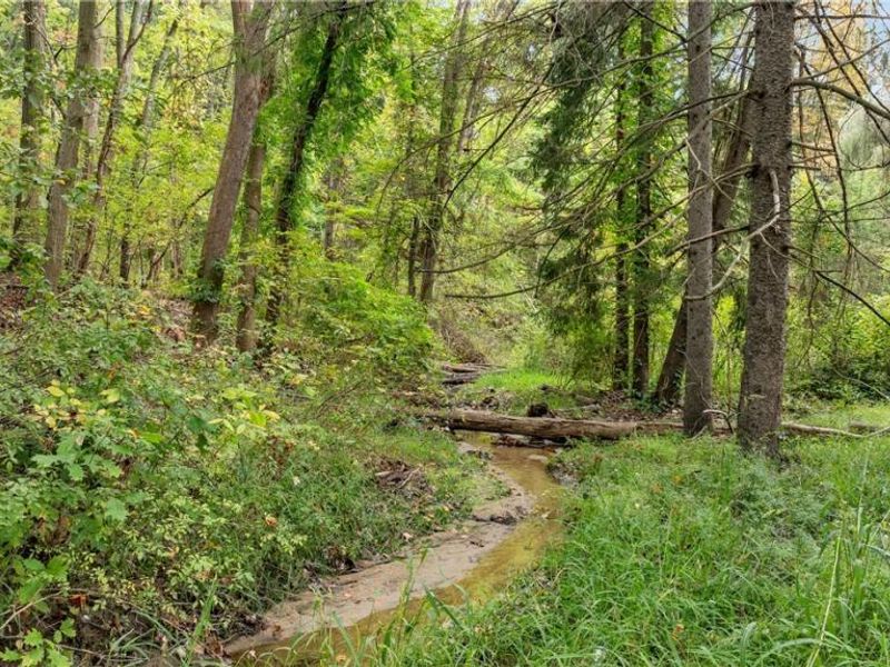 1356 E Turkeyfoot Lake Road, Akron, OH 44312 Photo 13