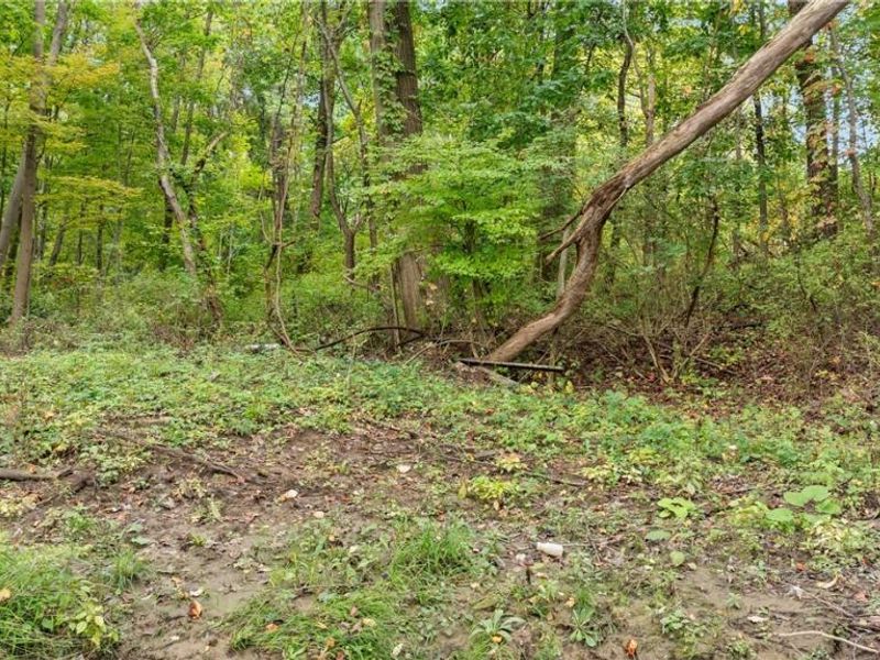 1356 E Turkeyfoot Lake Road, Akron, OH 44312 Photo 12