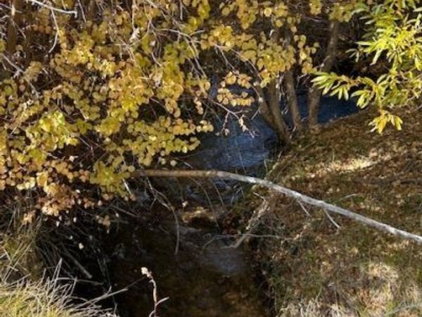 700 Davis Meadow Trail, Dyer, NV 89010